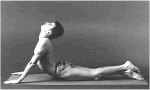 Бхуджангасана