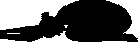 Balasana