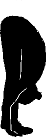 Uttanasana