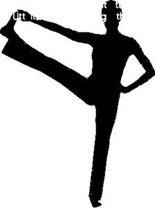 Utthita Hasta Padangusthasana